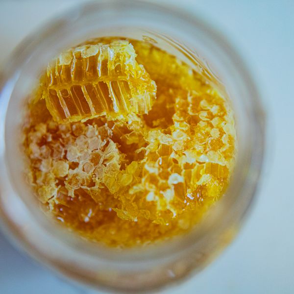 Raw Forest Honey — pure raw honey